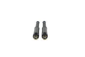 Rear pair suspension for Toyota Estima ACR50, ACR55a, GSR50, GSR55 and AHR20